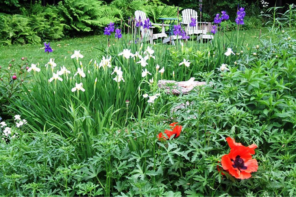 B&B Hillhouse Lac-Brome Bagian luar foto