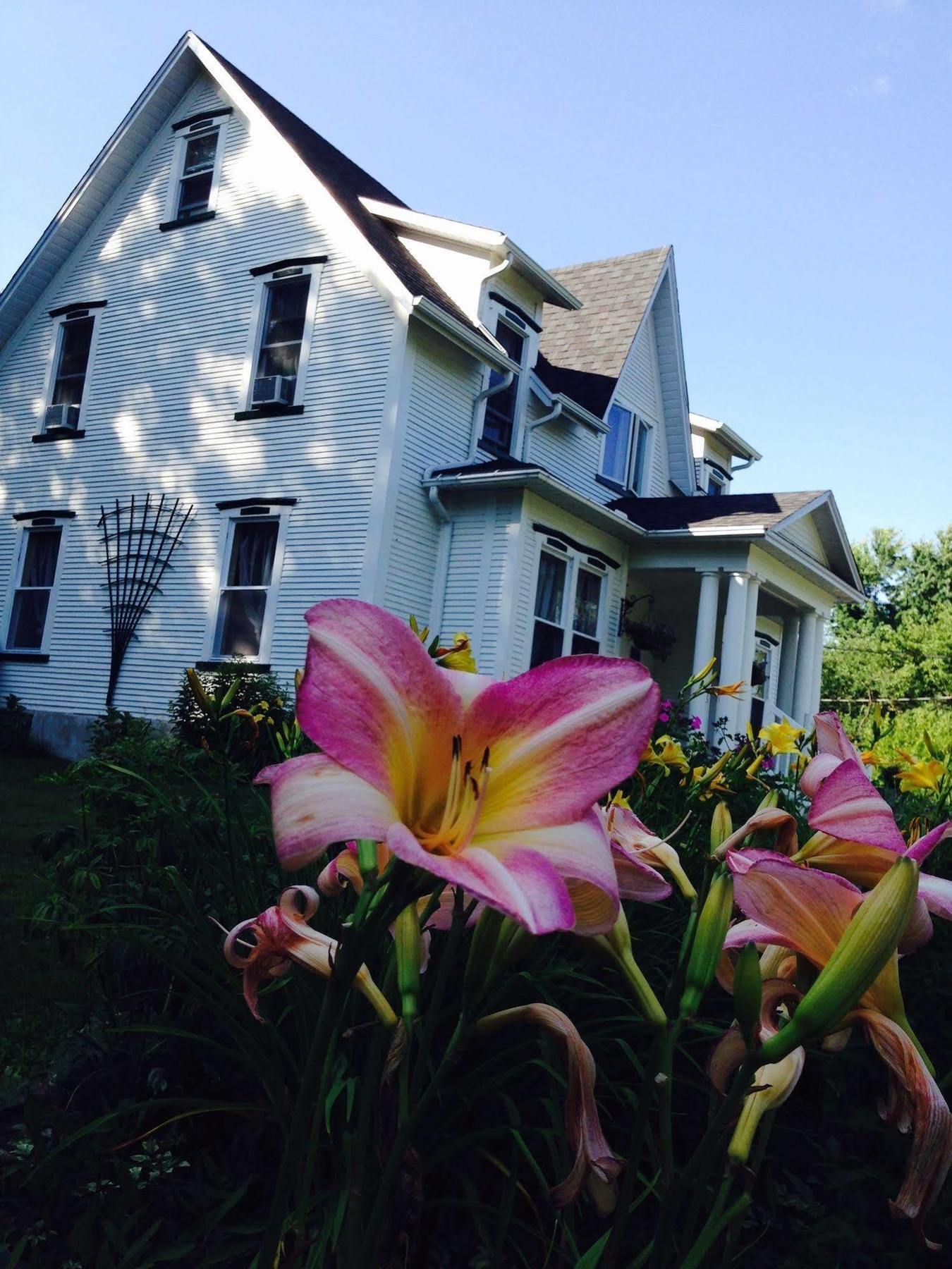 B&B Hillhouse Lac-Brome Bagian luar foto
